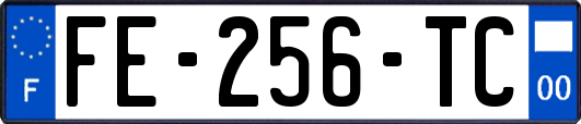 FE-256-TC
