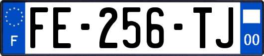 FE-256-TJ