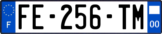 FE-256-TM