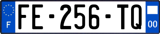 FE-256-TQ