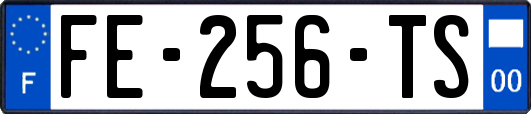 FE-256-TS