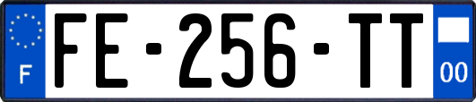 FE-256-TT