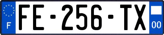 FE-256-TX