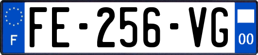 FE-256-VG