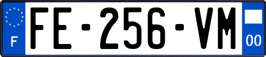 FE-256-VM