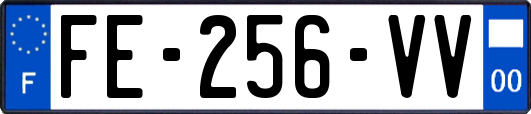 FE-256-VV