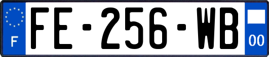 FE-256-WB