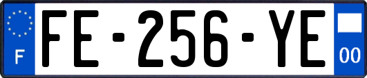 FE-256-YE
