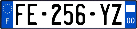 FE-256-YZ
