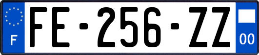 FE-256-ZZ