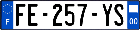 FE-257-YS