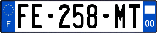 FE-258-MT