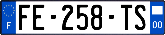 FE-258-TS