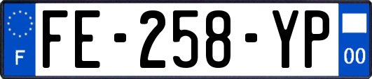 FE-258-YP
