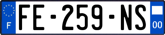 FE-259-NS