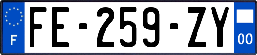 FE-259-ZY