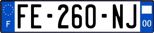 FE-260-NJ