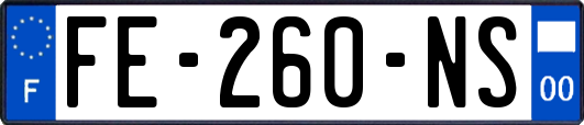 FE-260-NS