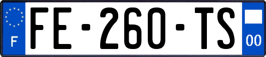 FE-260-TS