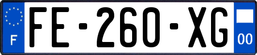 FE-260-XG