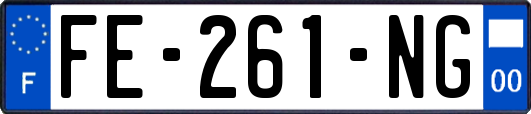 FE-261-NG