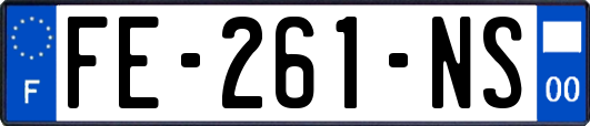 FE-261-NS