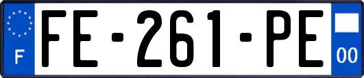 FE-261-PE