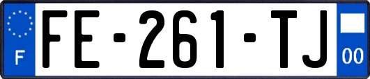 FE-261-TJ