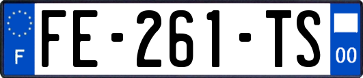 FE-261-TS