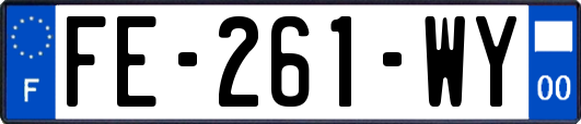 FE-261-WY