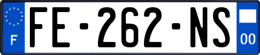 FE-262-NS