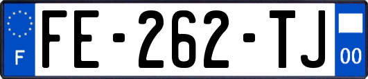 FE-262-TJ