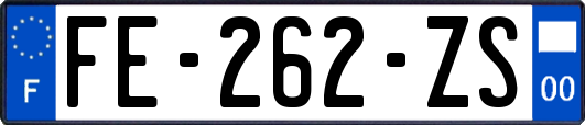 FE-262-ZS