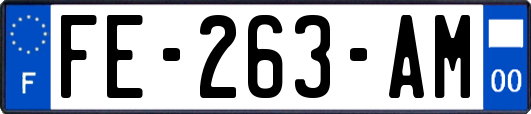 FE-263-AM