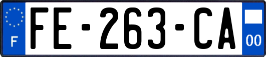 FE-263-CA