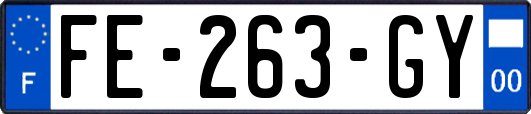FE-263-GY