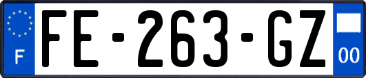 FE-263-GZ
