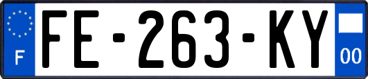 FE-263-KY