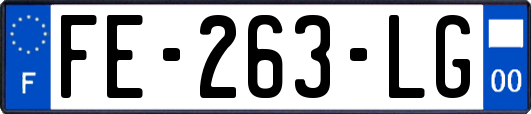 FE-263-LG