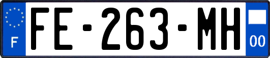 FE-263-MH