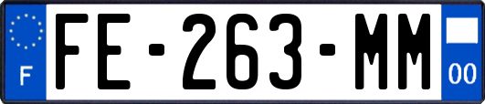 FE-263-MM
