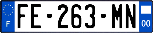 FE-263-MN