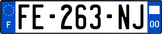 FE-263-NJ