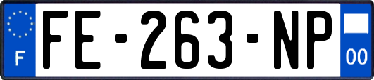 FE-263-NP