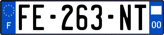 FE-263-NT