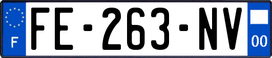 FE-263-NV