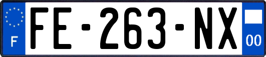 FE-263-NX