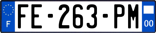 FE-263-PM