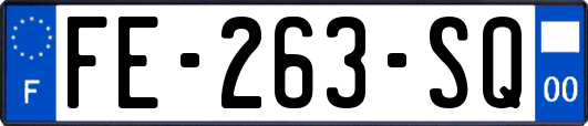 FE-263-SQ
