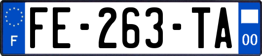 FE-263-TA